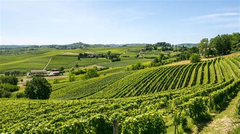 asti wine region